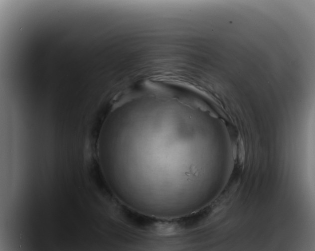 X0000088380272200705291354