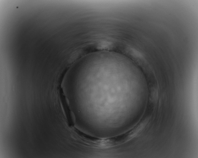 X0000088380273200705291354