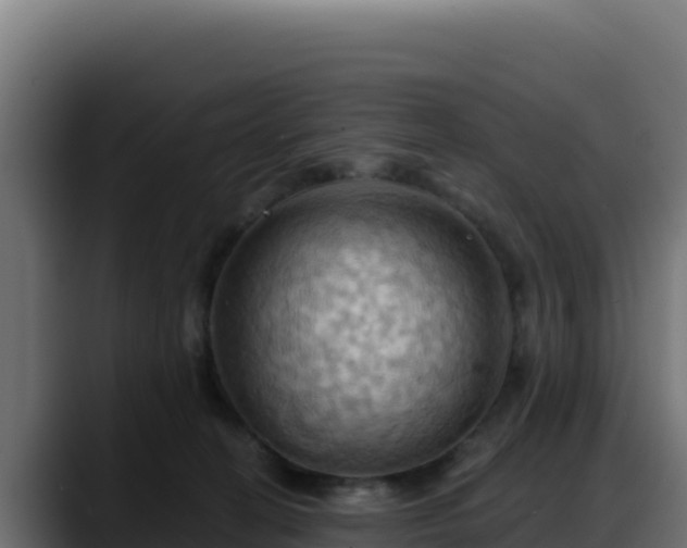 X0000088380274200705291354