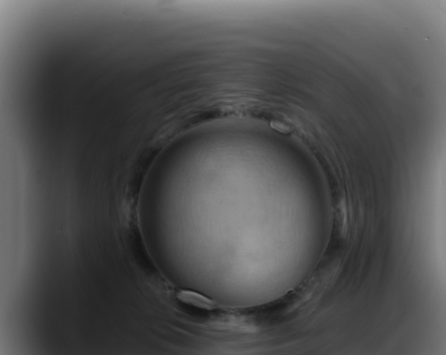X0000088380276200705291354