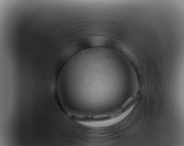 X0000088380277200705291354