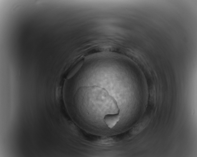 X0000088380278200705291354