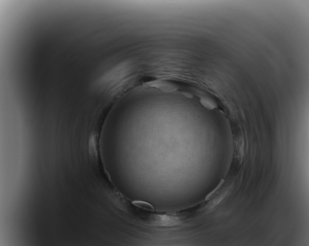 X0000088380286200705291354