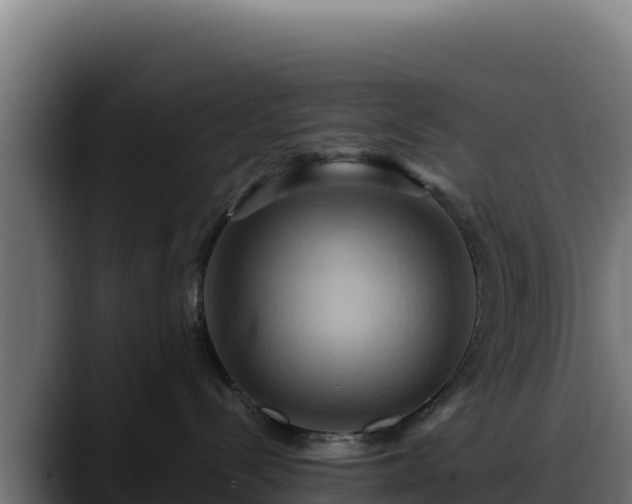 X0000088380288200705291354