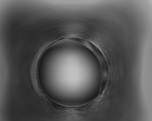 X0000088380289200705291353
