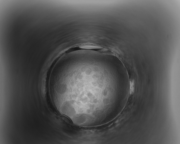 X0000088380291200705291353
