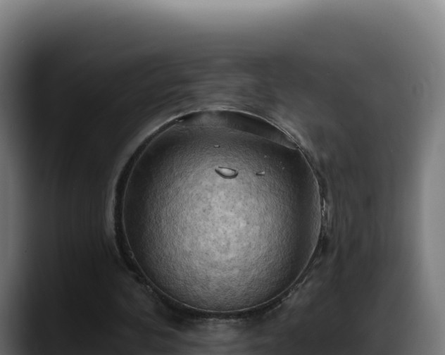 X0000088380292200705291353