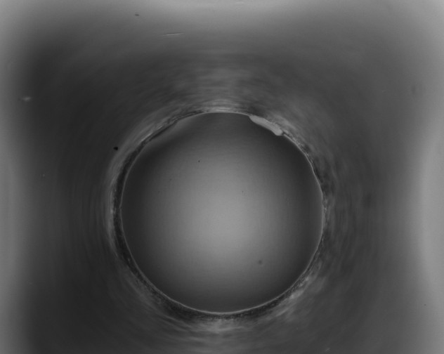 X0000088380293200705291353