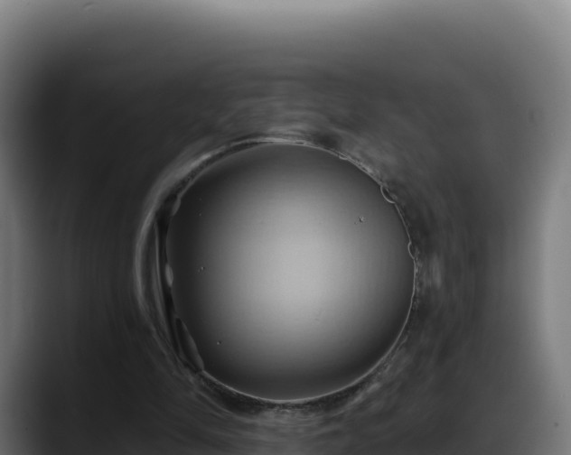 X0000088380294200705291353