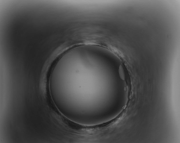 X0000088380295200705291353