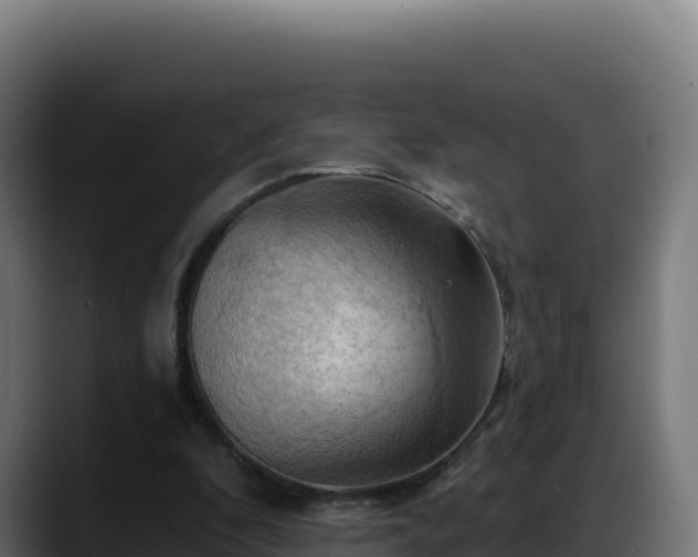 X0000088380296200705291353