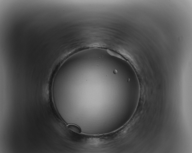 X0000088380298200705291353