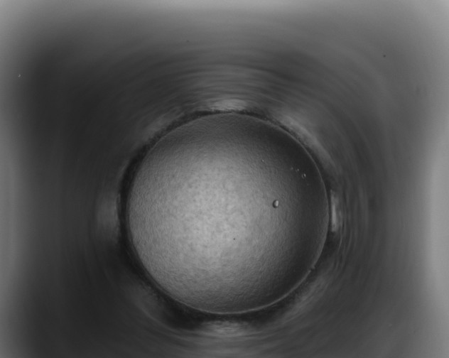 X0000088380300200705291353