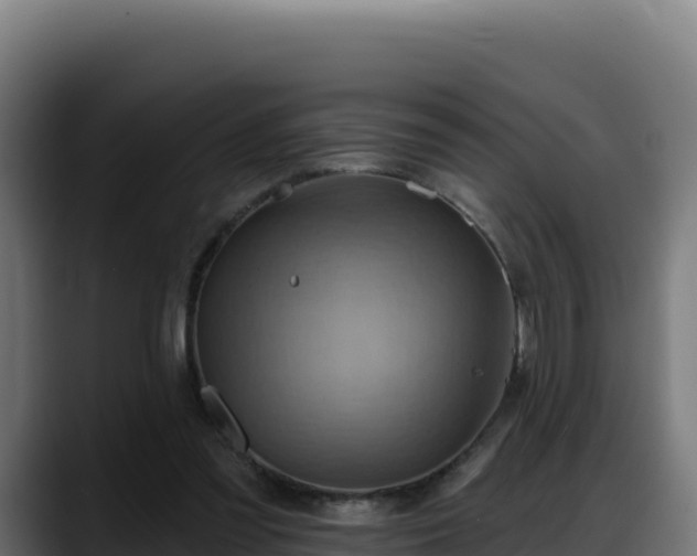 X0000088380301200705291353