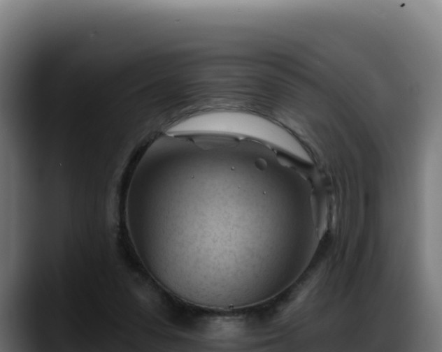 X0000088380303200705291353