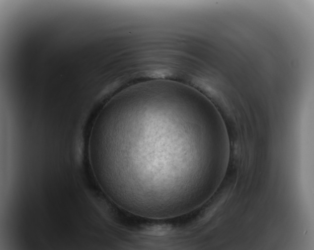 X0000088380304200705291353