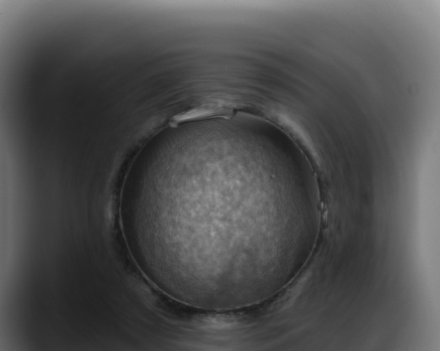 X0000088380305200705291353