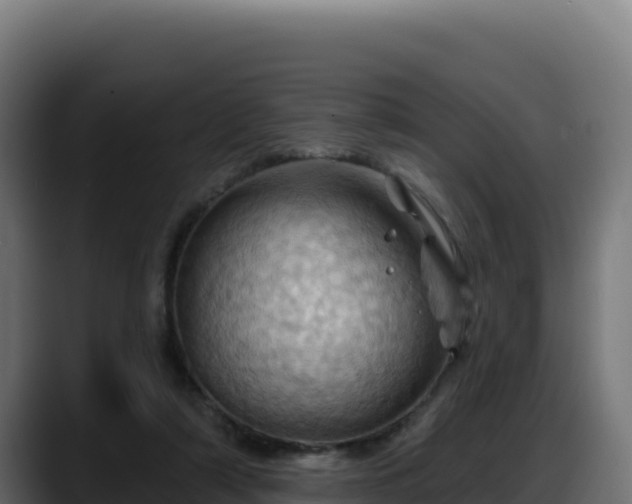 X0000088380306200705291353