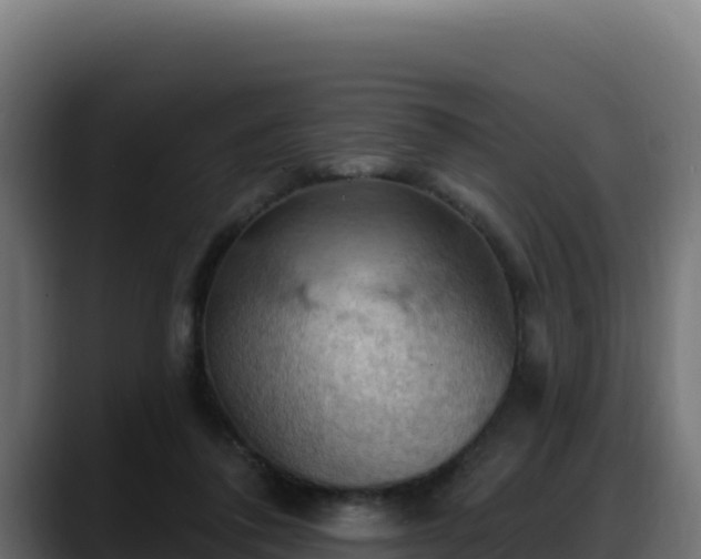X0000088380308200705291353