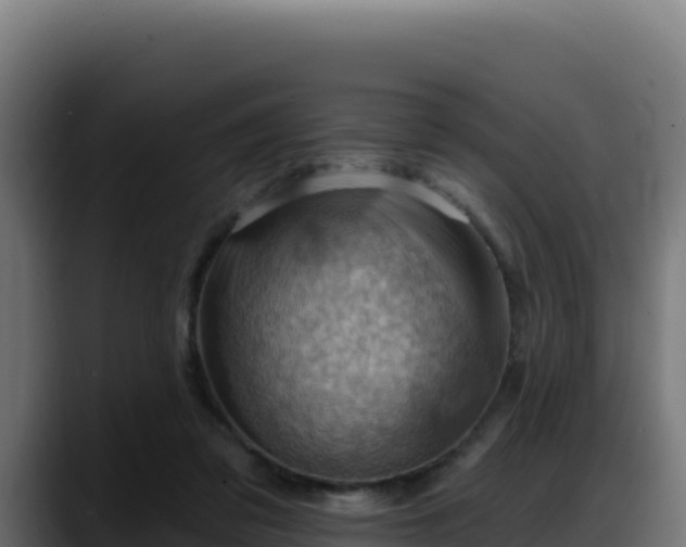 X0000088380309200705291353