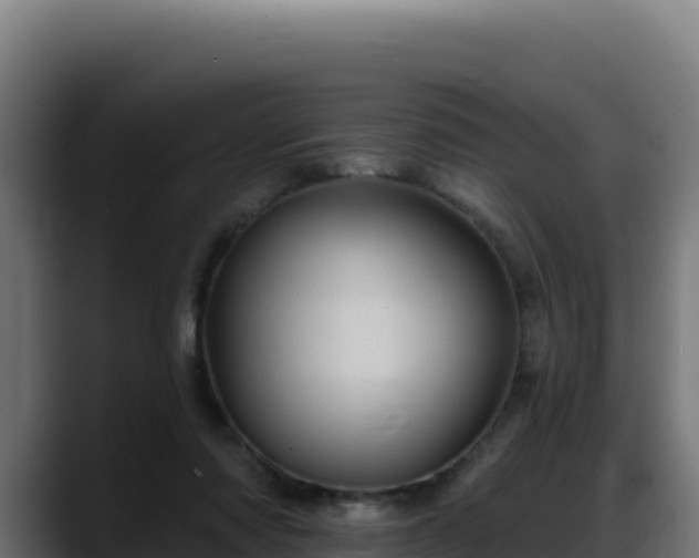 X0000088380310200705291353