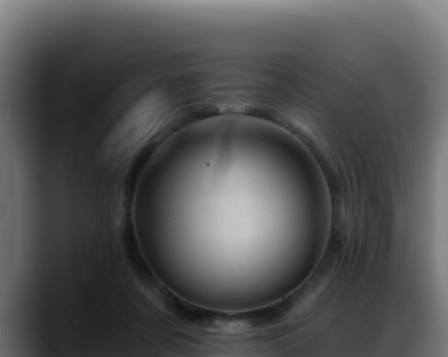 X0000088380311200705291353