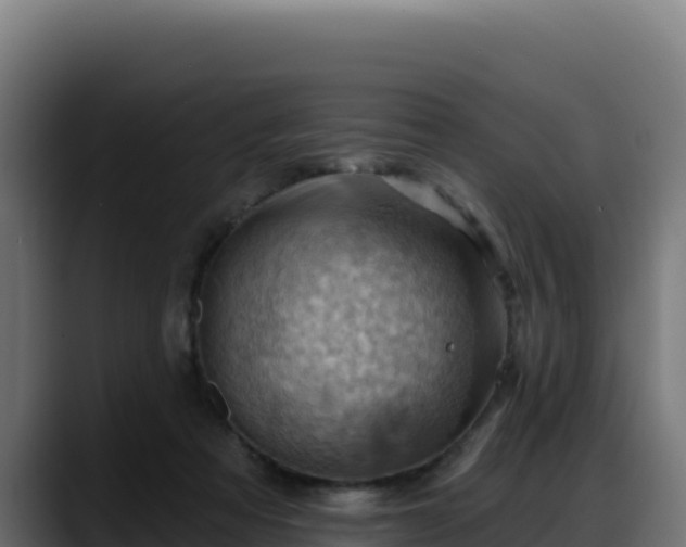X0000088380313200705291353