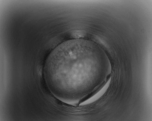 X0000088380315200705291353