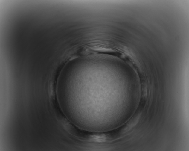 X0000088380317200705291353