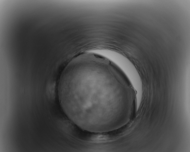 X0000088380319200705291353