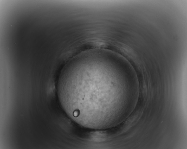 X0000088380320200705291353