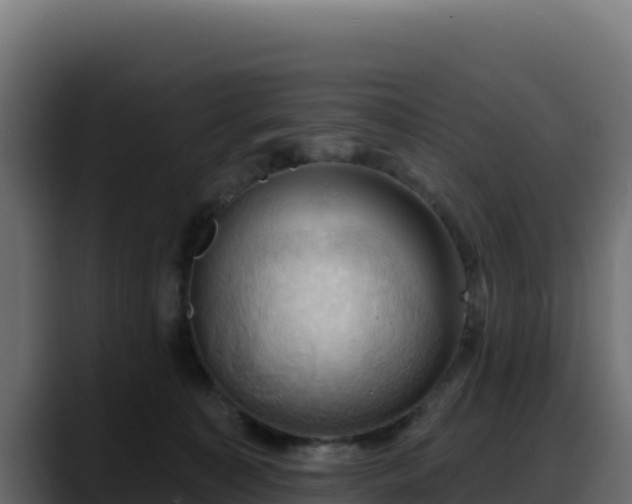 X0000088380323200705291353