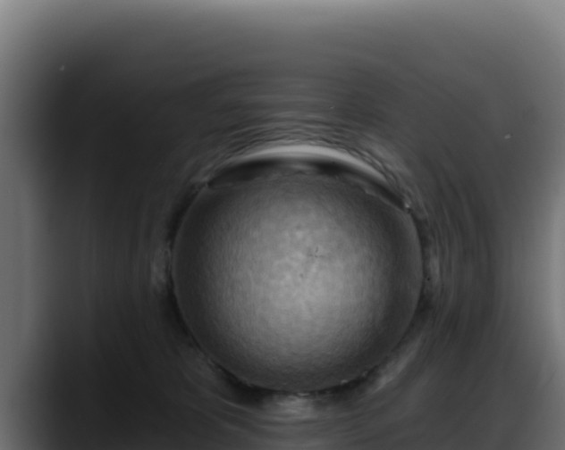 X0000088380325200705291353