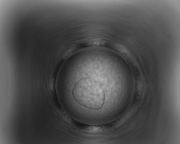 X0000088380326200705291353
