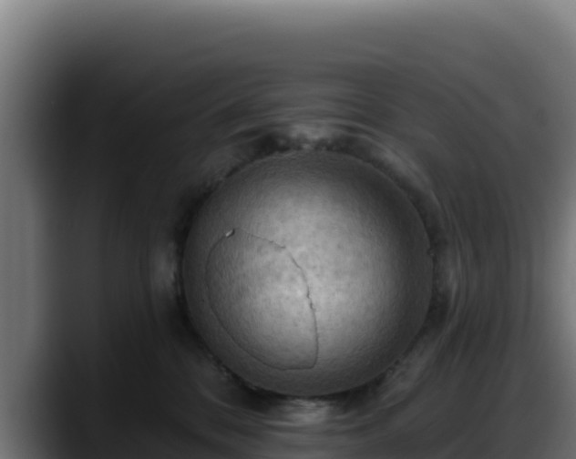X0000088380328200705291353