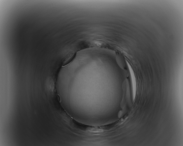 X0000088380331200705291353