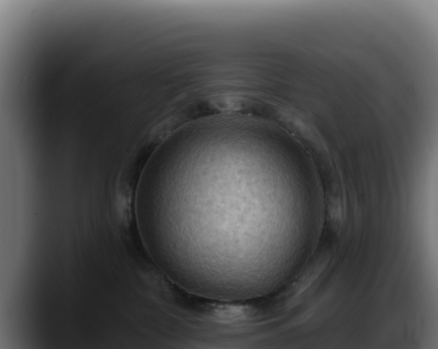 X0000088380332200705291353