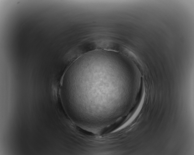 X0000088380333200705291353