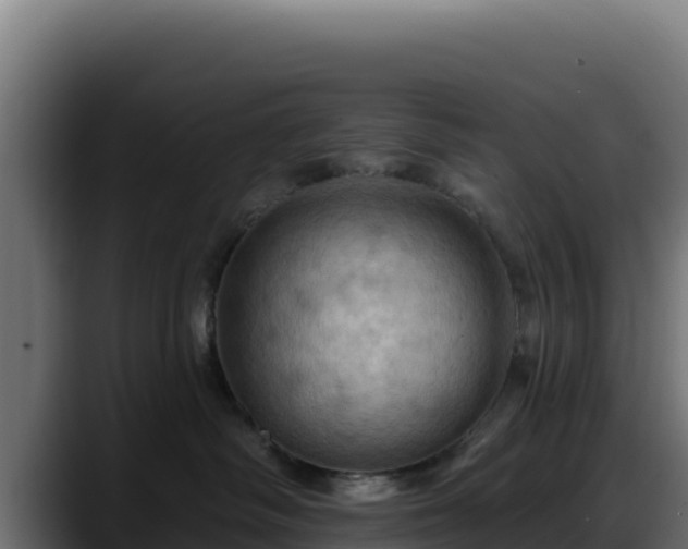 X0000088380334200705291353