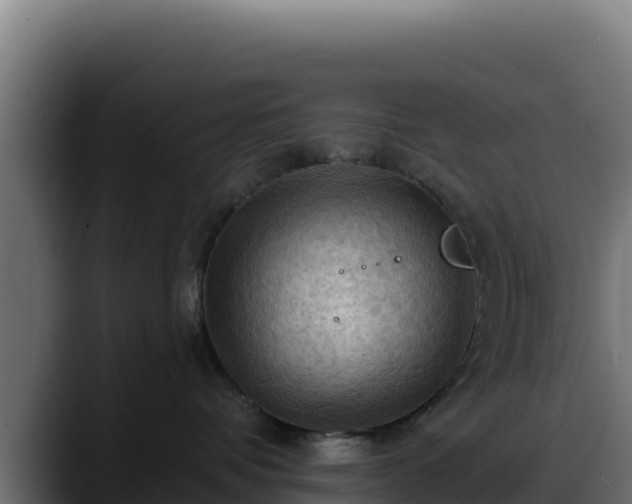 X0000088380336200705291353