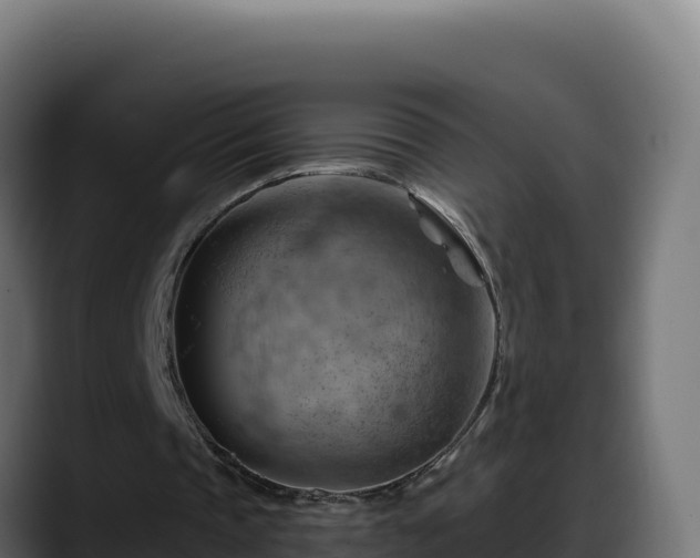 X0000088380337200705291352