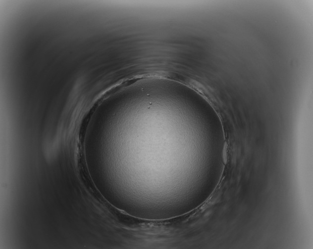 X0000088380338200705291352