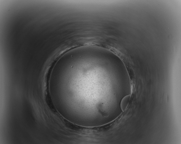 X0000088380339200705291352