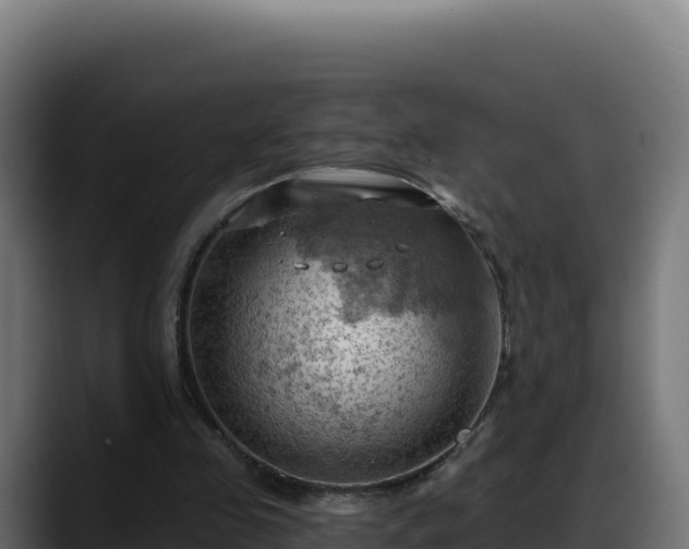 X0000088380341200705291352