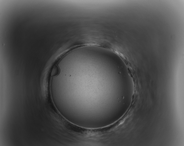 X0000088380343200705291352