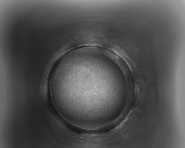 X0000088380344200705291352