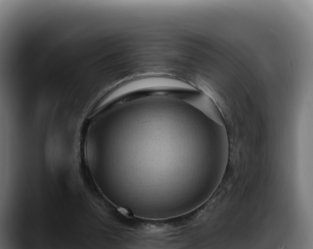X0000088380346200705291352