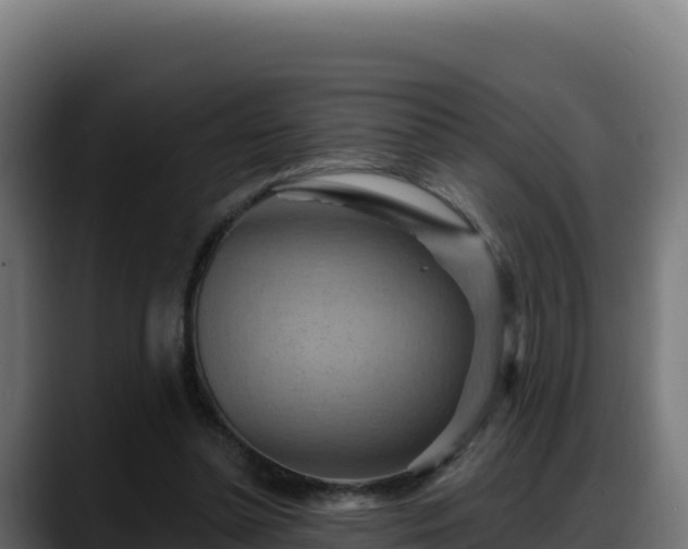 X0000088380348200705291352