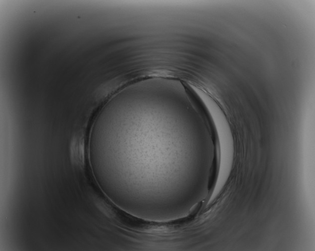 X0000088380349200705291352