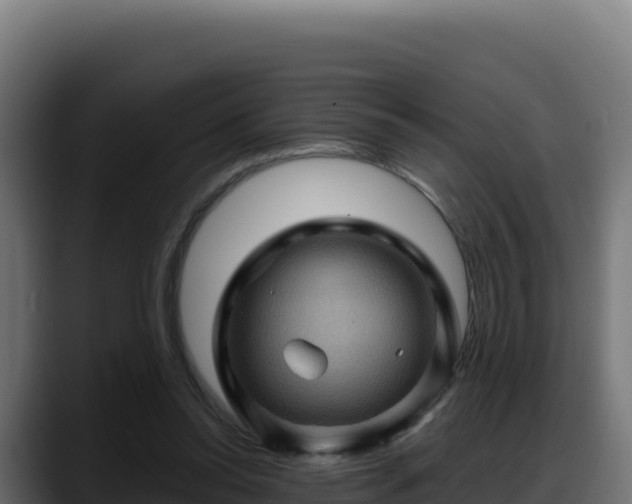 X0000088380350200705291352